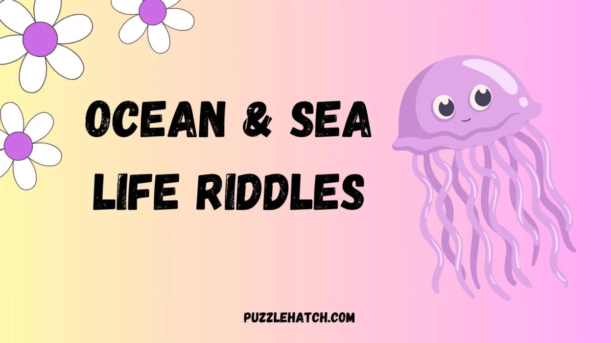 Ocean & Sea Life Riddles