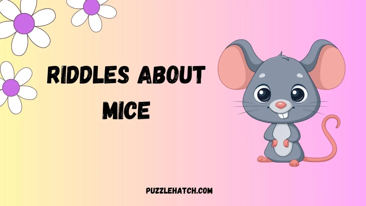 Riddles About Mice