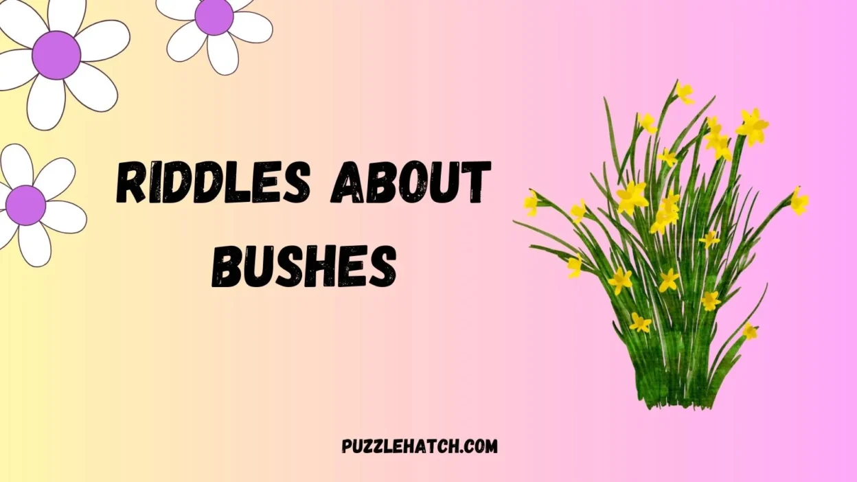 Riddles About Bushes