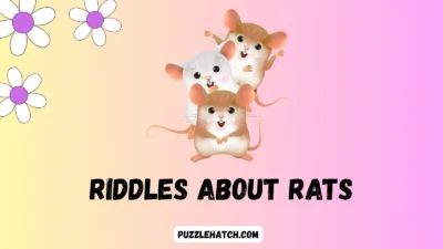 Riddles About Rats