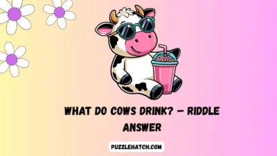 What do cows drink? – Riddle Answer
