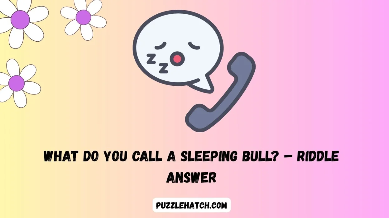 What do you call a sleeping bull? – Riddle Answer