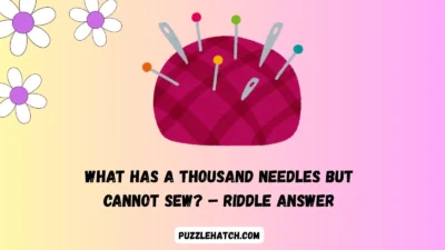 What has a thousand needles but cannot sew? – Riddle Answer