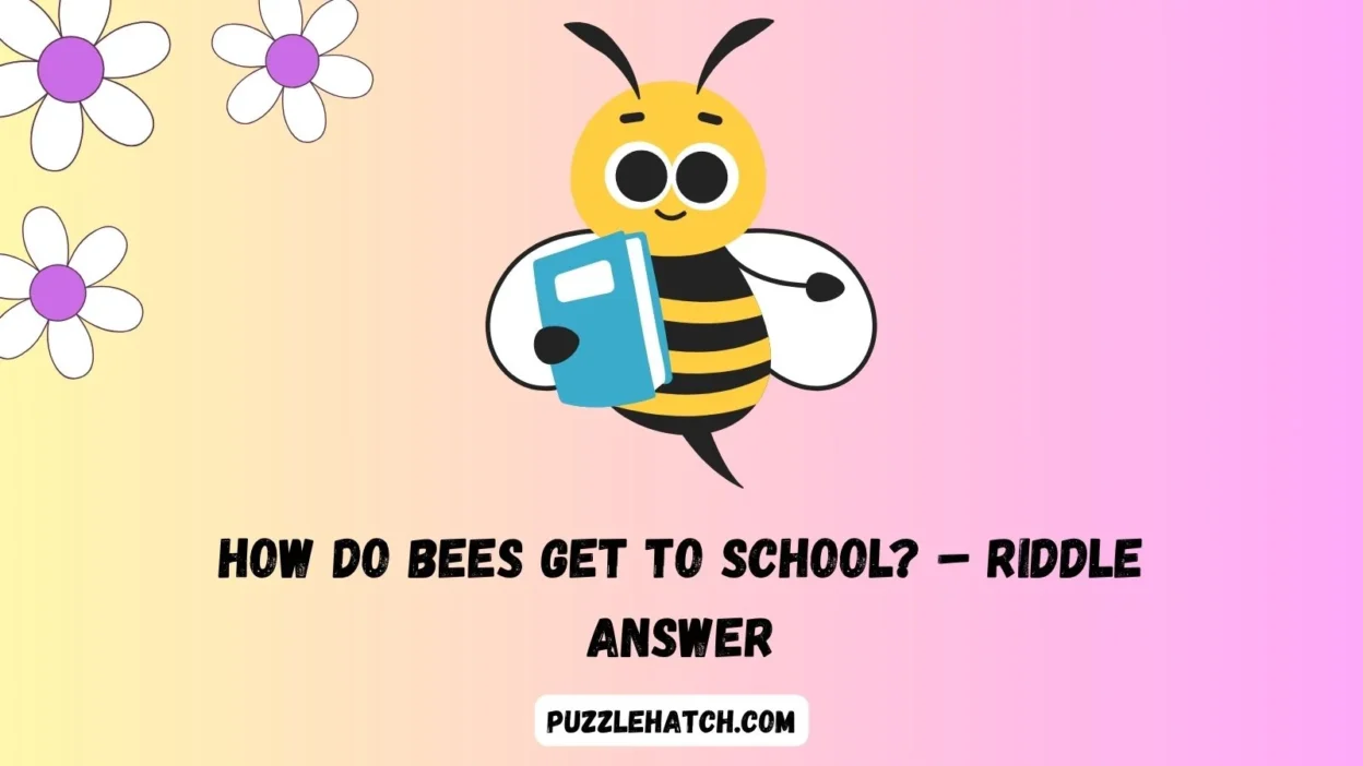 How do bees get to school? – Riddle Answer
