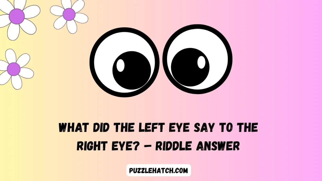 What Did the Left Eye Say to the Right Eye? – Riddle Answer