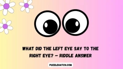 What Did the Left Eye Say to the Right Eye? – Riddle Answer
