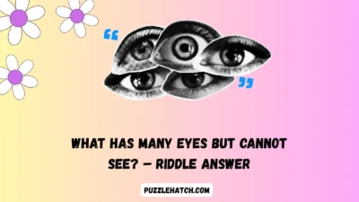 What Has Many Eyes but Cannot See? – Riddle Answer