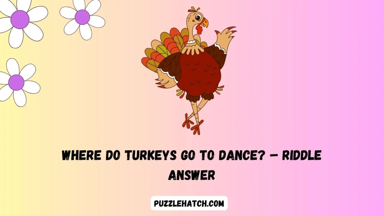 Where do turkeys go to dance? – Riddle Answer